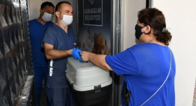 Hayvan kısırlaştırmada Karabağlar'da online dönem