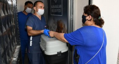 Hayvan kısırlaştırmada Karabağlar'da online dönem