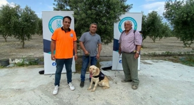 Manisa'da 'Üzüm' çiftçinin can yoldaşı olacak
