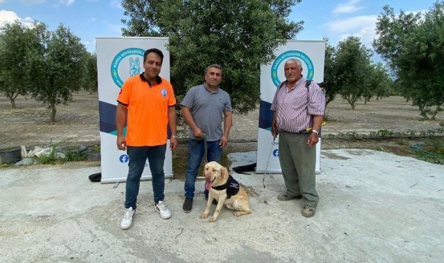 Manisa'da 'Üzüm' çiftçinin can yoldaşı olacak