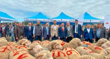 Tescilli Balıkesir Kuzusu'na destek