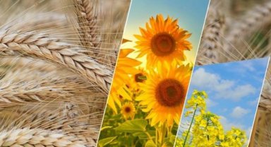 124 milyon TL'lik tarımsal destek hesaplarda