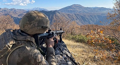 Barış Pınarı bölgesinde bir terörist teslim oldu
