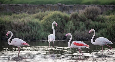 Başkan Soyer Çiğli Arıtma Tesisi’ndeki çalışmaları inceledi