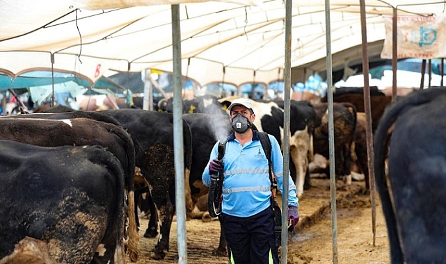 Bayraklı Belediyesi Kurban Bayramı’na hazır