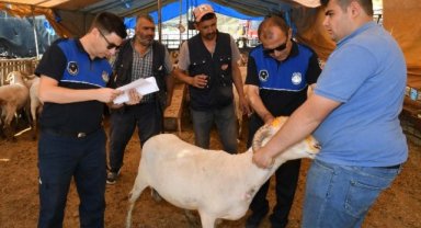 İzmir Karabağlar'da 'kurban' denetimleri