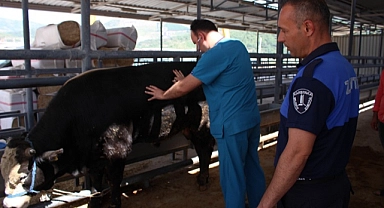 Karşıyaka Kurban Bayramı’na hazır