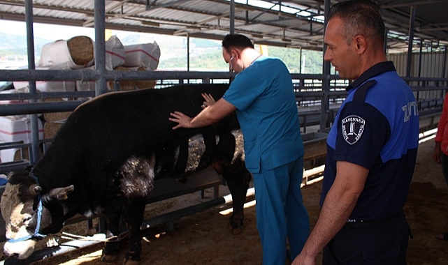 Karşıyaka Kurban Bayramı’na hazır