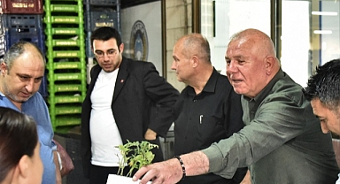 Kemalpaşa’da Fideler Toprakla Buluşuyor