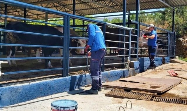 Muğla'da Büyükşehir tüm birimleri ile bayrama hazır