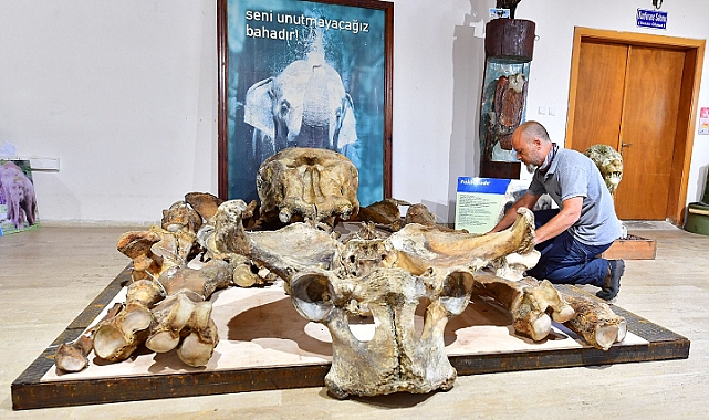 Pak Bahadır efsanesi müzede yaşatılacak
