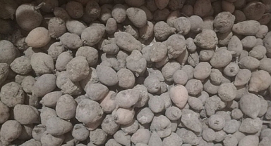 ‘Salep Dede’ hasadı bitirdi