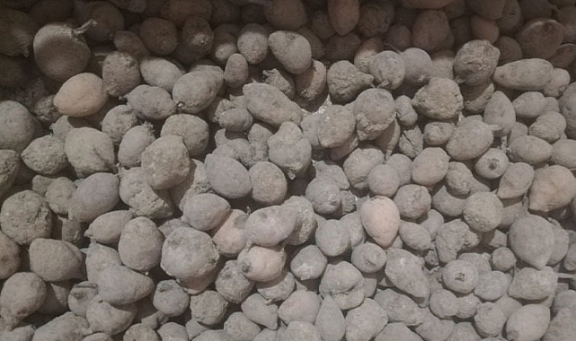 ‘Salep Dede’ hasadı bitirdi