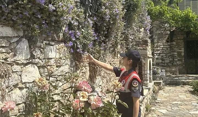 Tüylü Çan Çiçeği koruma altında