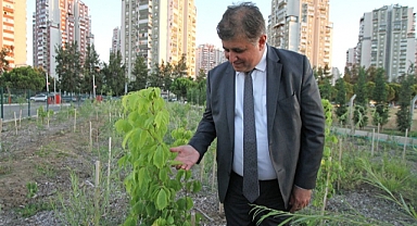 “Yerel tohumları koruyor ve toprakla buluşturuyoruz”