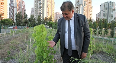 “Yerel tohumları koruyor ve toprakla buluşturuyoruz”