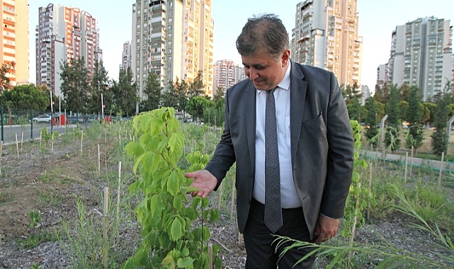 “Yerel tohumları koruyor ve toprakla buluşturuyoruz”