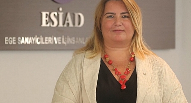 Zorlu: İklim Kanunu bir an önce çıkmalı