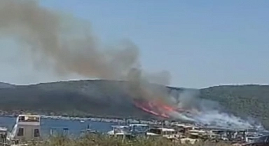 15 hektar makilik alan yandı.