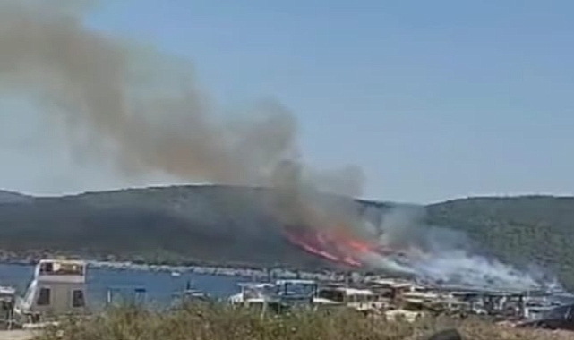 15 hektar makilik alan yandı.
