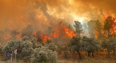 8 ildeki orman yangınlarıyla ilgili 7 şüpheli tespit edildi