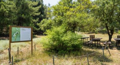 Afrika İzmir'e geldi