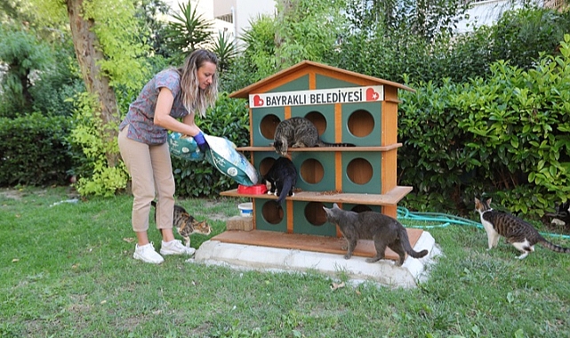 Bayraklı’da can dostlara mama ve su desteği