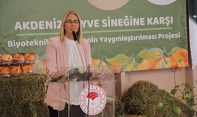 Çankırı’dan CHP’li Başkan Soyer’e "U Dönüşü" Göndermesi