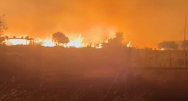 Elektrik trafosu patladı,alevler ormanı sardı