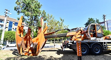 İstasyon inşaatları öncesinde ağaçlar geçici olarak taşınıyor