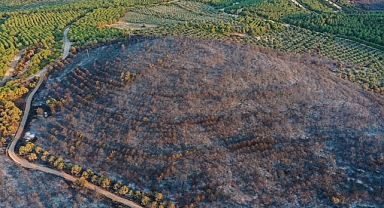 İzmir Aliağa'daki orman yangını kontrol altına alındı