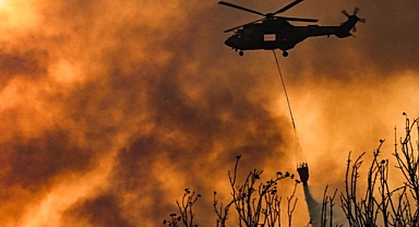 İzmir'de iki ayrı noktada orman yangını