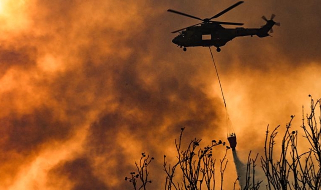 İzmir'de iki ayrı noktada orman yangını