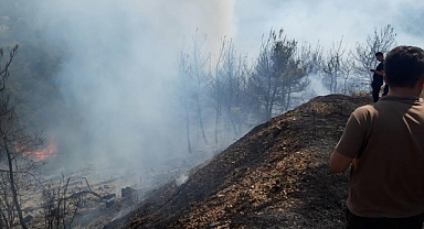 Kemalpaşa ve Menemen ilçelerinde orman yangını