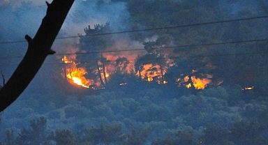 Manisa'daki orman yangını kontrol altına alındı