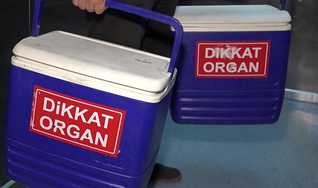Organlarıyla 4 kişiye hayat verecek