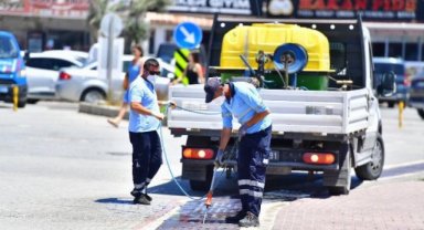 Sivrisineğin nedeni küresel iklim krizi mi?
