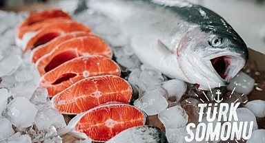 Su ürünleri ihracatı 829 milyon dolara ulaştı