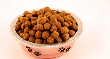 Türkiye dünyanın kedi köpek maması ihtiyacını karşılıyor