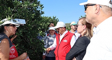 Türkiye narenciye üretiminde dünya sıralamasında 8.sırada