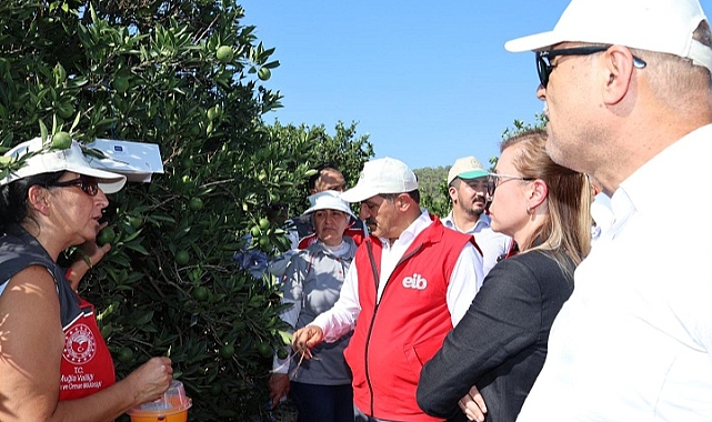 Türkiye narenciye üretiminde dünya sıralamasında 8.sırada