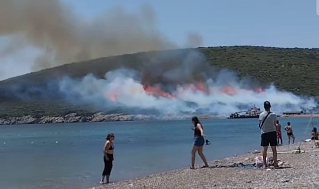 Urla’da orman yangını