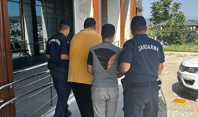 Urla'da ormanı yakan iki şüpheli adli kontrol şartıyla serbest bırakıldı