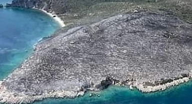 Urla yangınına soruşturma başlatıldı