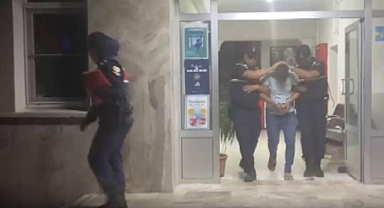 Zeytin tankında sepetleme görüntüsüne inceleme