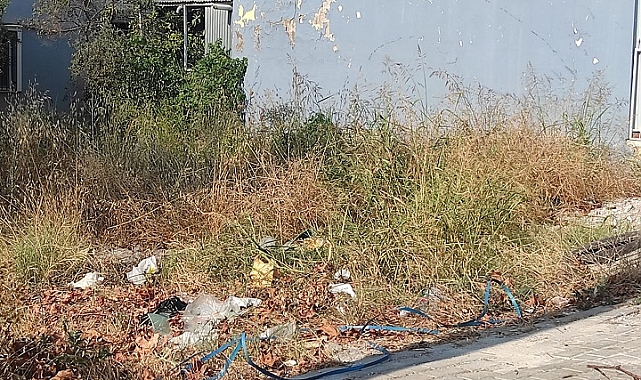 Beyazevler Mahallesin De Kuru Otlar Tehlike Saçıyor.