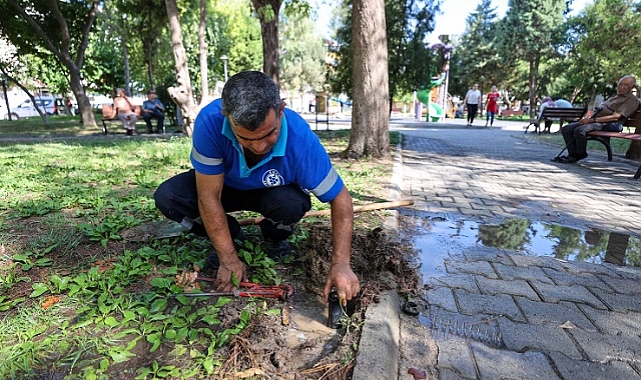 Buca'nın nefes alanları vandalların hedefinde