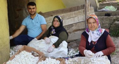 Evlerde üretilen 1 kilo kozadan 400 lira kazanıyorlar