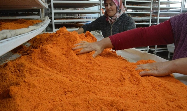 Gediz İle Özdeşleşmiş Gediz Tarhanası Hanımlara İstihdam Kapısı Oluyor