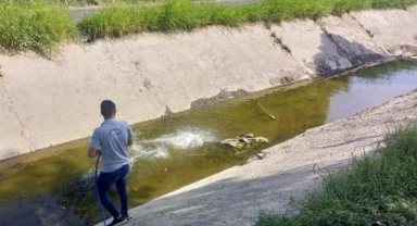 Manisa Salihli'de ilaçlamalar sürüyor
